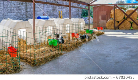 Modern Cheese factory in Shabo, Ukraine 67020453