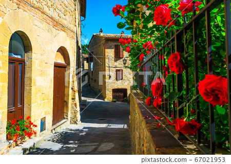 Flowery garden and paved street view in Tuscany, Monticchiello, Italy Flowery garden and paved street view in Tuscany, Monticchiello, Italy 67021953