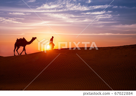 Indian cameleer camel driver with camel silhouettes in dunes on sunset. Jaisalmer, Rajasthan, India 67022884