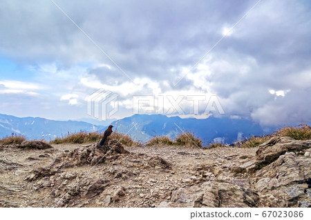 Trekking Taiwan Hehuanshan 67023086