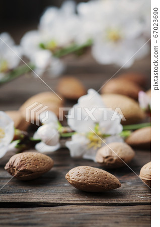 Fresh almond and flowers on the wooden table Fresh almond and flowers on the wooden table 67023690