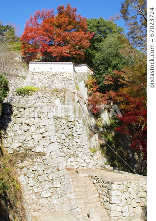 Autumn leaves castle 67023724