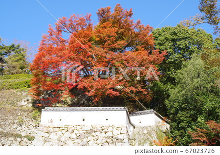 Autumn leaves castle 67023726