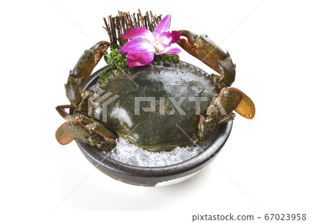 Crab, crab, seafood Crab, crab, seafood 67023958
