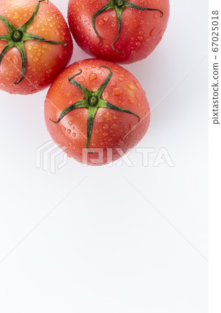 Tomato   67025018