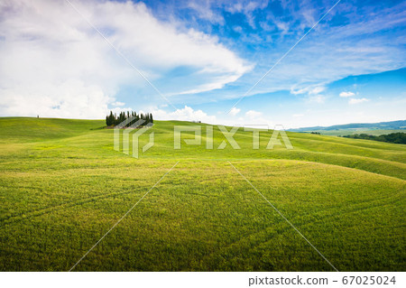 Panoramic view of scenic Tuscany landscape in Val d'Orcia, Italy 67025024