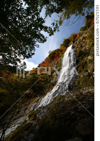 Autumn leaves of Tendaki Autumn leaves of Tendaki 67025595