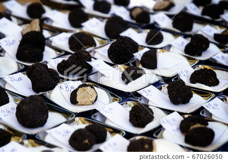 black summer truffle (tuber aestivum) in Alba black summer truffle (tuber aestivum) in Alba 67026050