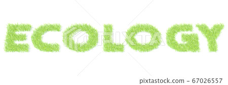 ECOLOGY word made with green grass, white background. 3D rendering 67026557