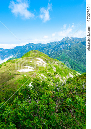 初夏的Amashikayama登山(欣賞Sasadaira和Yakeyama) 初夏的Amashikayama登山(欣賞Sasadaira和Yakeyama) 67027604