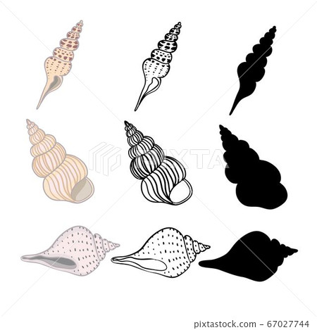Hand drawn vector illustrations - collection of seashells. Marine set. Perfect for invitations, greeting cards, posters, prints, banners, flyers etc 67027744