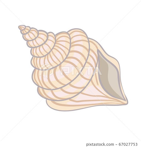 Textured vector illustration of an isolated peach seashell. Textured vector illustration of an isolated peach seashell. 67027753