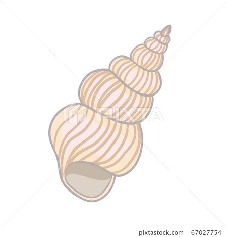 Textured vector illustration of an isolated peach seashell. Textured vector illustration of an isolated peach seashell. 67027754
