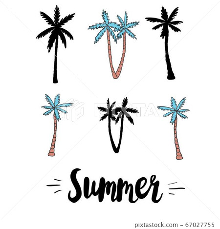 Palm trees icons set Palm trees icons set 67027755