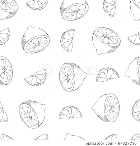 Watercolor seamless pattern with lemons on the white background. Vector illustration. Hand drawn background. Watercolor seamless pattern with lemons on the white background. Vector illustration. Hand drawn background. 67027756