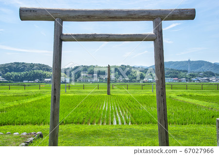 Izamiya in summer (hawk on the pillar) 67027966
