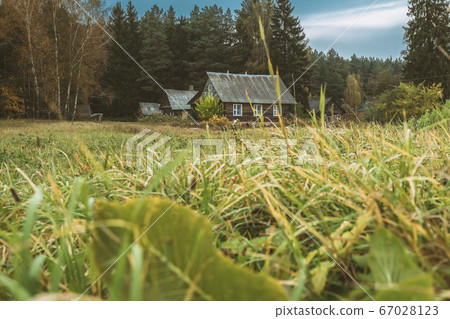 Vitebsk Region, Belarus. Traditional Belarusian Wooden Houses In Autumn Landscape 67028123