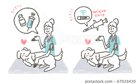 Illustration to encourage veterinarians to attach vaccines and microchips to pets at veterinary clinics 67028430