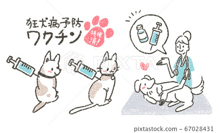 Illustration urging veterinarians to rabies vaccine against pets at veterinary clinic 67028431