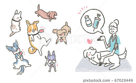 Illustration urging veterinarians to rabies vaccine against pets at veterinary clinic 67028449