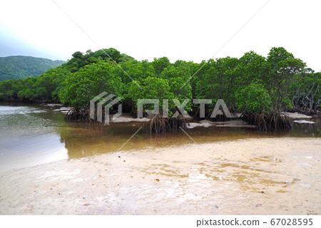 Hirugi社區在河道 Hirugi社區在河道 67028595