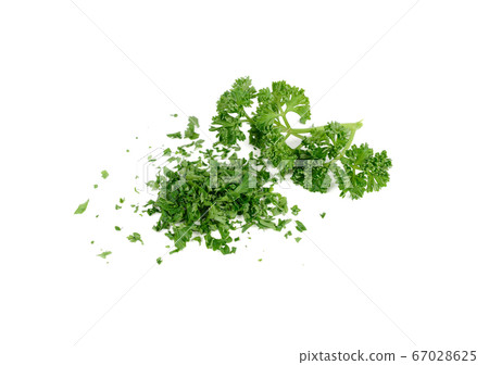 pile of chop fresh parsley and branch parsley on pile of chop fresh parsley and branch parsley on 67028625