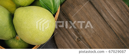 柚子 中秋節 黑色 背景 pomelo top view ユズ ゆず 柚子 中秋節 黑色 背景 pomelo top view ユズ ゆず 67029087