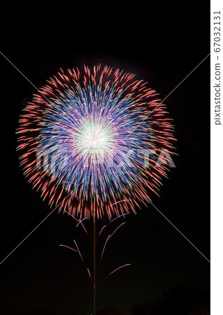 [夏季圖片]煙花 67032131