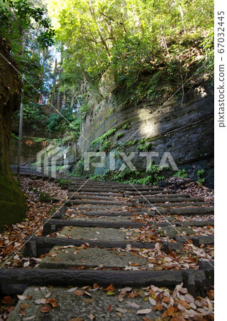 從日吉神社穿過山之坂到藥久湖（千葉縣東金市） 67032445