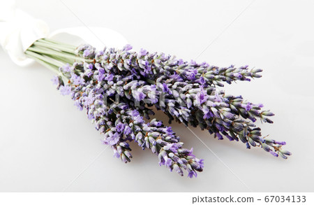 Lavender flower isolated on white background. Lavender flower isolated on white background. 67034133