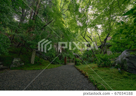 京都寺廟綠葉夏天春天廣告SNS Rurikoin Yase Sukiya Zukuri日本庭園苔蘚秋葉庭園旅遊 京都寺廟綠葉夏天春天廣告SNS Rurikoin Yase Sukiya Zukuri日本庭園苔蘚秋葉庭園旅遊 67034188