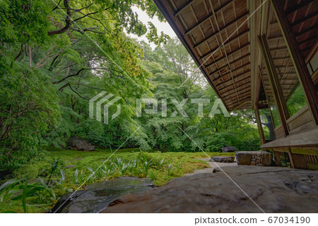 京都寺廟綠葉夏天春天廣告SNS Rurikoin Yase Sukiya Zukuri日本庭園苔蘚秋葉庭園旅遊 京都寺廟綠葉夏天春天廣告SNS Rurikoin Yase Sukiya Zukuri日本庭園苔蘚秋葉庭園旅遊 67034190