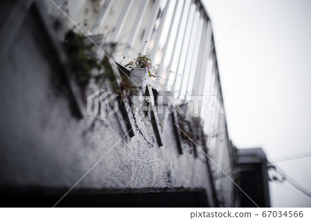 Flowers on the stairs 67034566
