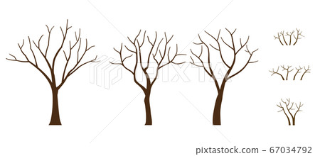 Set of trees with fallen winter leaves Set of trees with fallen winter leaves 67034792