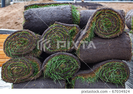 Stack of turf grass roll for lawn 67034924