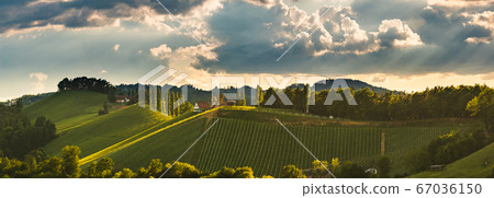 Vineyards panorama Leibnitz area famous 67036150
