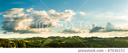 Vineyards panorama Leibnitz area famous 67036151