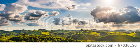 Vineyards panorama Leibnitz area famous 67036156