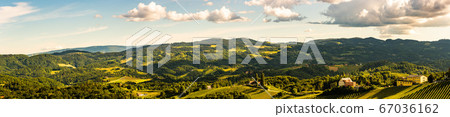 Vineyards panorama Leibnitz area famous Vineyards panorama Leibnitz area famous 67036162