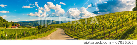 Vineyards panorama Leibnitz area famous 67036165