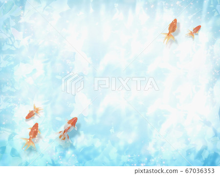 An image of summer when a goldfish swims and the sunlight leaks through the water 67036353