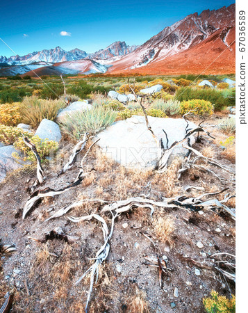 Arid Wilderness of the Eastern Sierras Arid Wilderness of the Eastern Sierras 67036589
