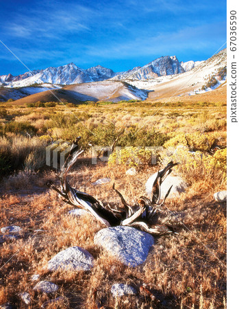 Arid Wilderness of the Eastern Sierras Arid Wilderness of the Eastern Sierras 67036590
