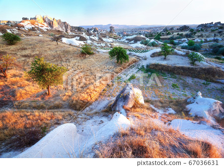 Cave Dwellings in an Arid Landscape in Cappadocia Cave Dwellings in an Arid Landscape in Cappadocia 67036631