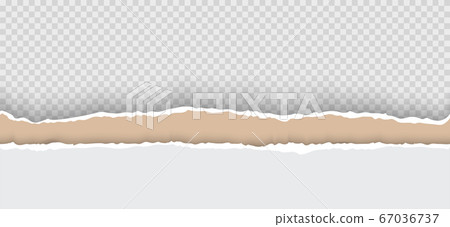 Torn paper with ripped edges realistic vector illustration 67036737