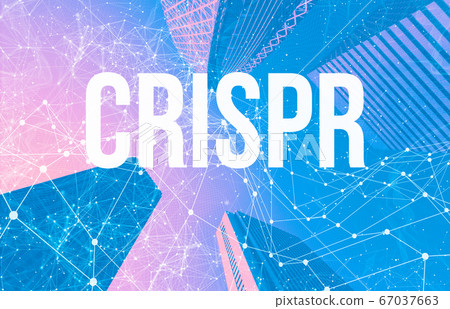 Crispr theme with abstract patterns and skyscrapers Crispr theme with abstract patterns and skyscrapers 67037663