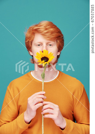 Redhead man holding sunflower Redhead man holding sunflower 67037885