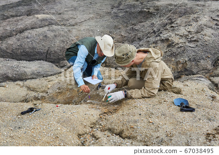 paleontologists have discovered a fossil in the 67038495