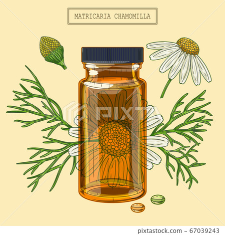 Medical Chamomile branch and vial and pills Medical Chamomile branch and vial and pills 67039243