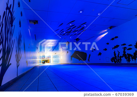 Lucent Avenue, an underground passageway in Nagoya [Aichi Prefecture] 67039369